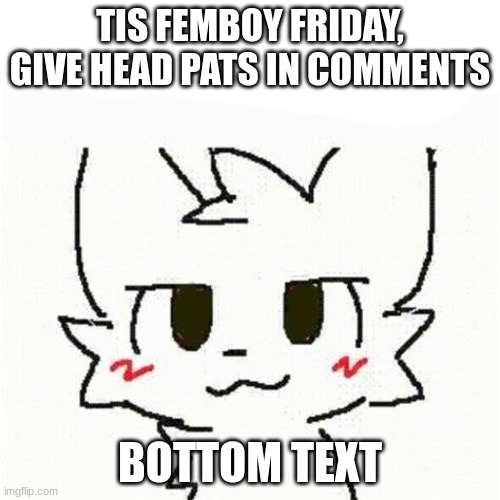 boykisser | TIS FEMBOY FRIDAY, GIVE HEAD PATS IN COMMENTS; BOTTOM TEXT | image tagged in boykisser | made w/ Imgflip meme maker