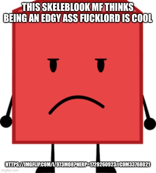 Blocky bfdi stare | THIS SKELEBLOOK MF THINKS BEING AN EDGY ASS FUCKLORD IS COOL; HTTPS://IMGFLIP.COM/I/973MO8?NERP=1729260923#COM33768021 | image tagged in blocky bfdi stare | made w/ Imgflip meme maker