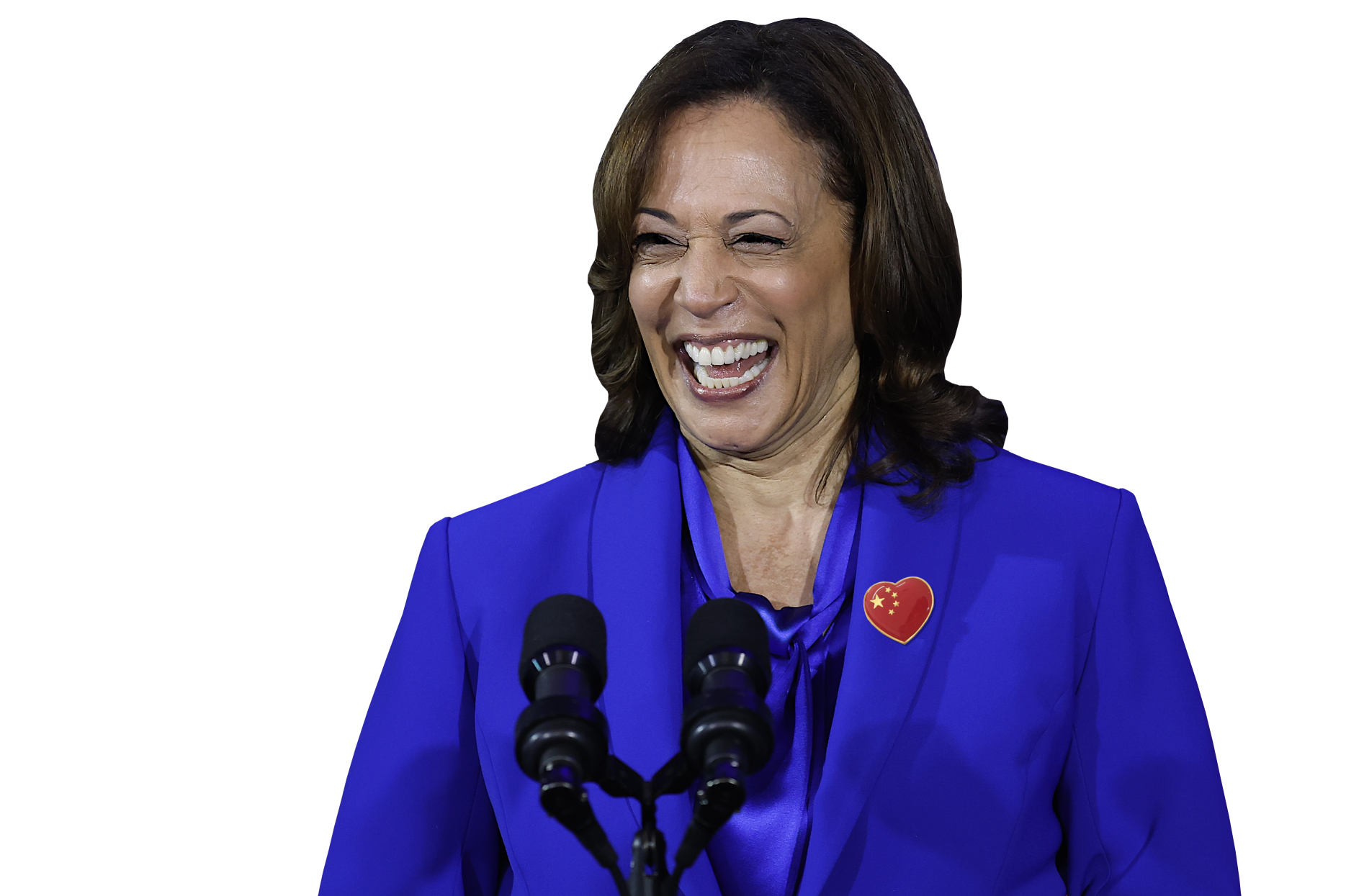 KAMALA - GOOFY MARXIST Blank Meme Template