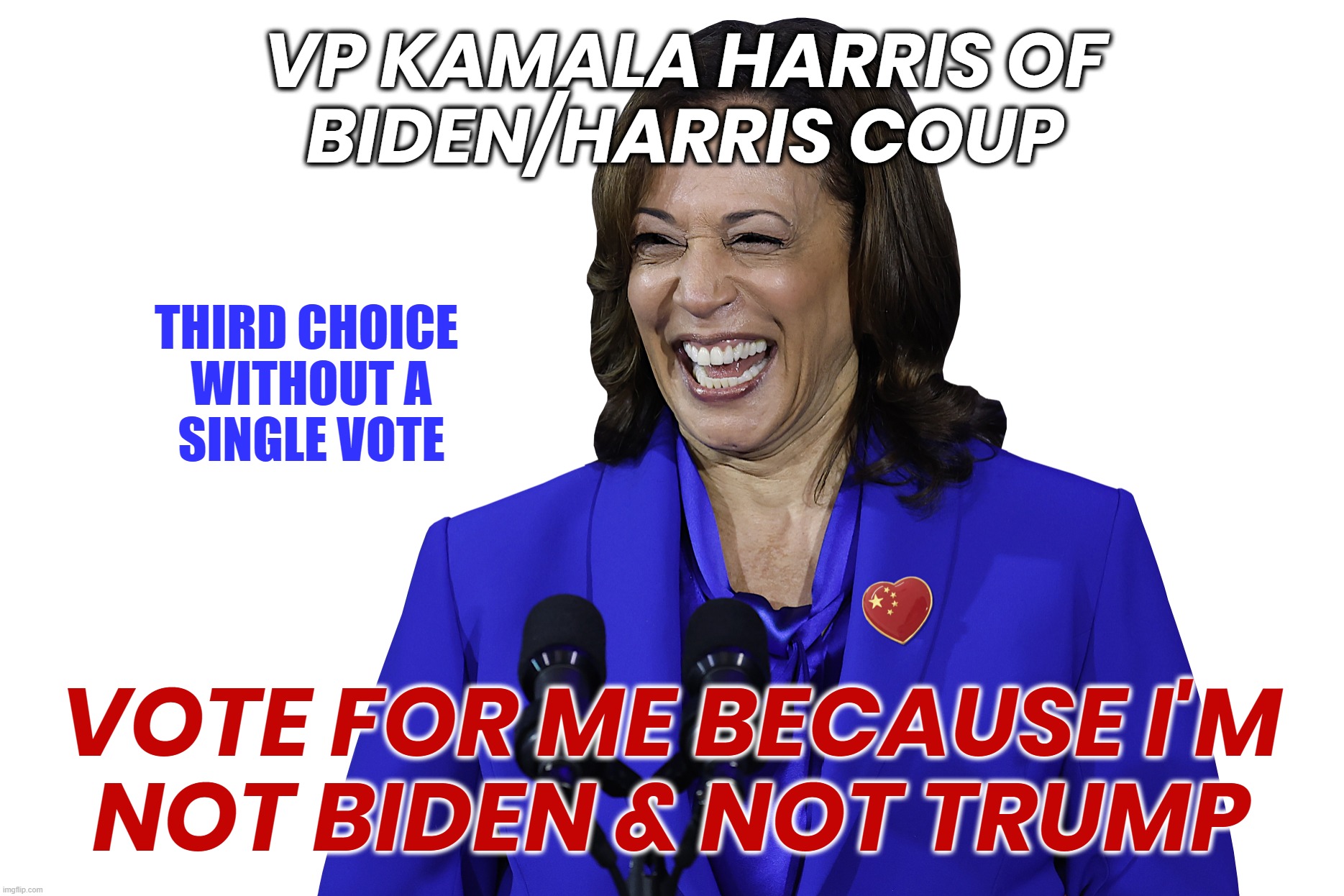 VOTE AGAINST NOT FOR... | VP KAMALA HARRIS OF
BIDEN/HARRIS COUP; THIRD CHOICE 
WITHOUT A
SINGLE VOTE; VOTE FOR ME BECAUSE I'M
NOT BIDEN & NOT TRUMP | image tagged in kamala harris,not trump,biden,coup,liar,disloyal | made w/ Imgflip meme maker