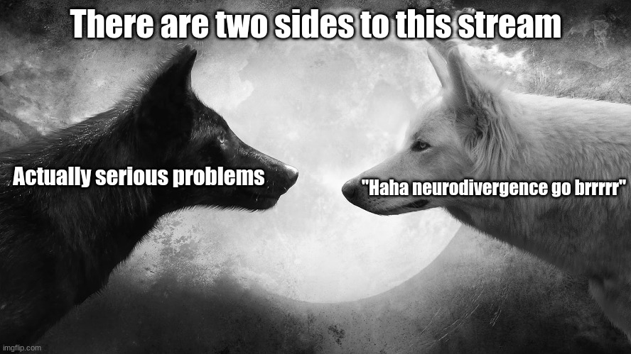 I am absolutely the second lmao | There are two sides to this stream; Actually serious problems; "Haha neurodivergence go brrrrr" | image tagged in you have two wolves | made w/ Imgflip meme maker