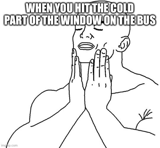 It hits different | WHEN YOU HIT THE COLD PART OF THE WINDOW ON THE BUS | image tagged in satisfaction | made w/ Imgflip meme maker