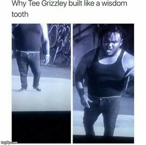 Tee Grizzly wisdom tooth | image tagged in memes,reddit,rareinsults | made w/ Imgflip meme maker