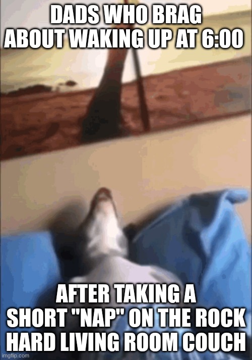 fr | DADS WHO BRAG ABOUT WAKING UP AT 6:00; AFTER TAKING A SHORT "NAP" ON THE ROCK HARD LIVING ROOM COUCH | image tagged in funny,dogs,doge,dog,kangaroo | made w/ Imgflip meme maker