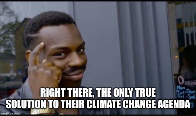 Thinking Black Man | RIGHT THERE, THE ONLY TRUE SOLUTION TO THEIR CLIMATE CHANGE AGENDA | image tagged in thinking black man | made w/ Imgflip meme maker