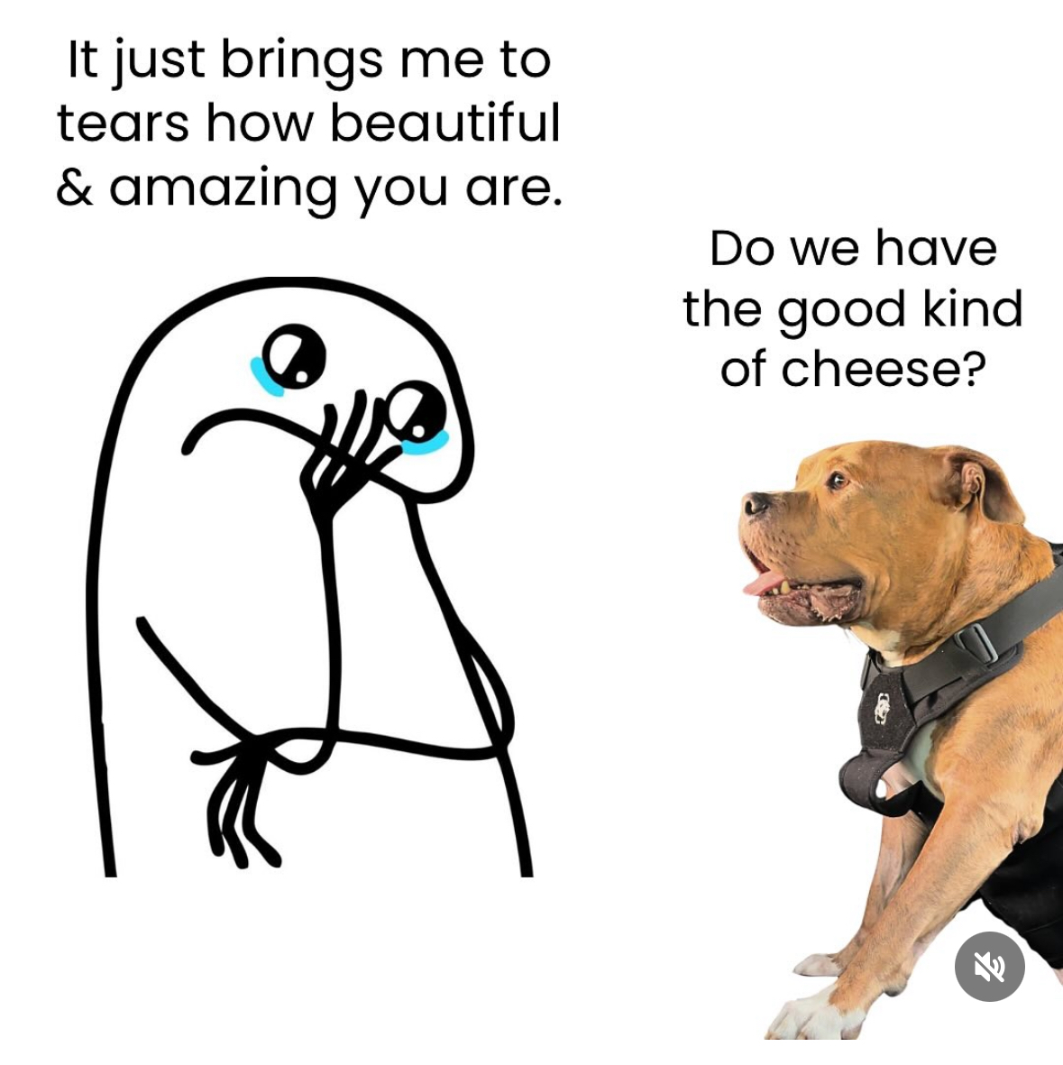 Good dog Blank Meme Template