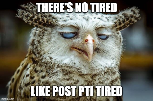 Post Parent Teacher Interview | THERE'S NO TIRED; LIKE POST PTI TIRED | image tagged in owl tired bored,teacher,parent,interview,tired,exhausted | made w/ Imgflip meme maker