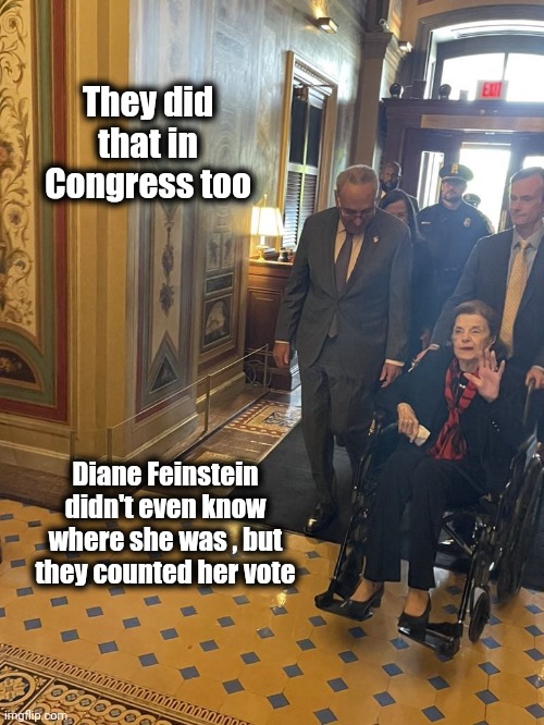 Diane Feinstein | They did that in Congress too Diane Feinstein didn't even know where she was , but they counted her vote | image tagged in diane feinstein | made w/ Imgflip meme maker