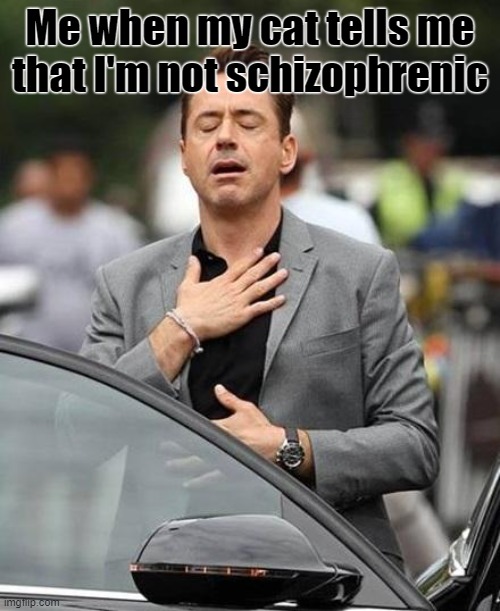 Robert Downy Jr | Me when my cat tells me that I'm not schizophrenic | image tagged in robert downy jr,cats,schizophrenia,iron man | made w/ Imgflip meme maker