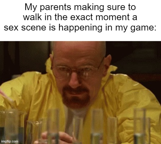 Walter White Cooking | My parents making sure to walk in the exact moment a sex scene is happening in my game: | image tagged in walter white cooking,sex | made w/ Imgflip meme maker