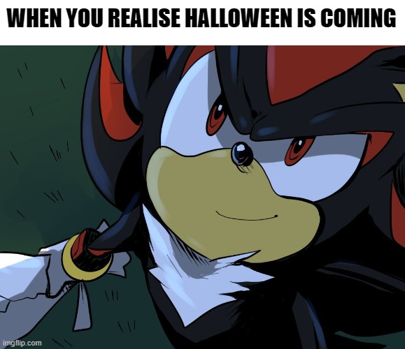 Shadow loves Halloween | WHEN YOU REALISE HALLOWEEN IS COMING | image tagged in halloween,shadow the hedgehog | made w/ Imgflip meme maker