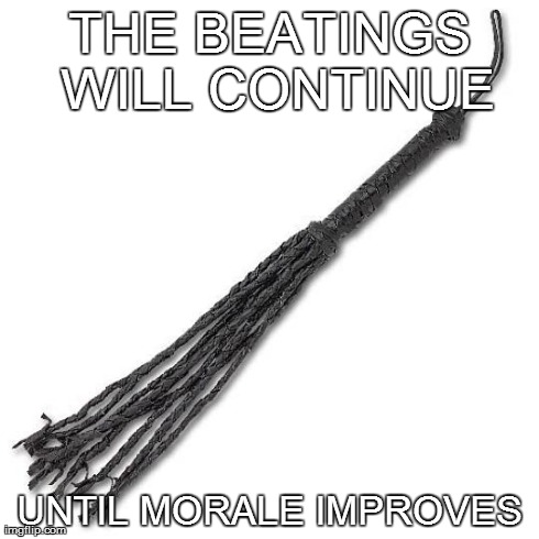 THE BEATINGS WILL CONTINUE UNTIL MORALE IMPROVES | image tagged in flog | made w/ Imgflip meme maker