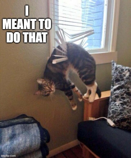 memes by Brad - my cat didn't mean to do this - humor | I MEANT TO DO THAT | image tagged in funny,cats,kitten,funny cat memes,humor,cute kitten | made w/ Imgflip meme maker