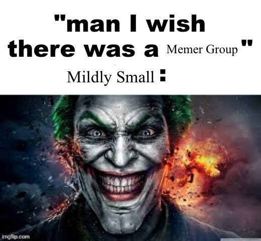 man I wish there was a | Memer Group; Mildly Small | image tagged in man i wish there was a | made w/ Imgflip meme maker