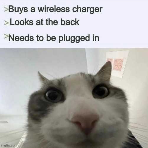 Cat looks inside | Buys a wireless charger; Looks at the back; Needs to be plugged in | image tagged in cat looks inside | made w/ Imgflip meme maker