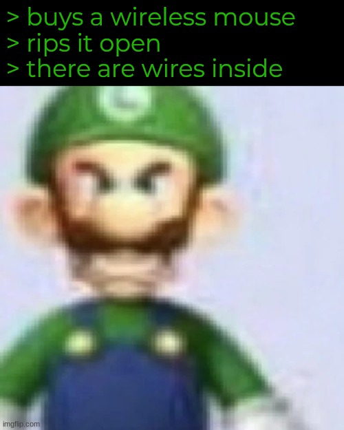 angry luigi | > buys a wireless mouse
> rips it open
> there are wires inside | image tagged in angry luigi | made w/ Imgflip meme maker