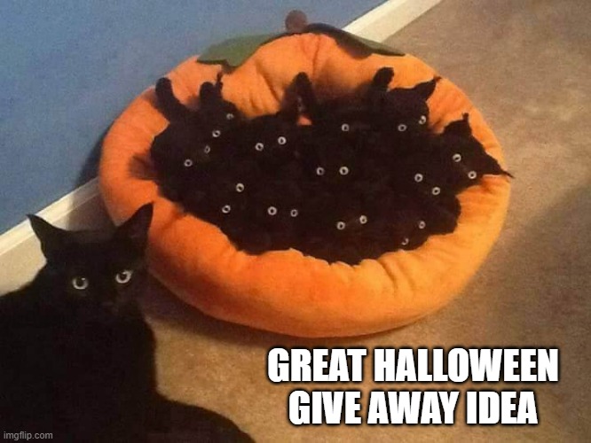 memes by Brad - Great Halloween give away idea - stuffed black kittens - cats | GREAT HALLOWEEN GIVE AWAY IDEA | image tagged in funny,cats,kittens,halloween,cute kittens,humor | made w/ Imgflip meme maker