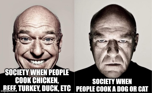 just saying why not? | SOCIETY WHEN PEOPLE COOK CHICKEN, BEEF, TURKEY, DUCK, ETC; SOCIETY WHEN PEOPLE COOK A DOG OR CAT | image tagged in hank | made w/ Imgflip meme maker