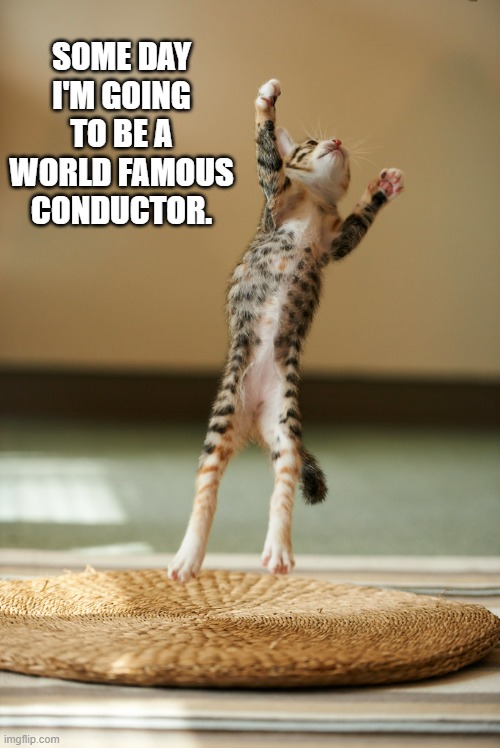 memes by Brad -  My cat wants to be a music conductor - humor | SOME DAY I'M GOING TO BE A WORLD FAMOUS CONDUCTOR. | image tagged in funny,cats,funny cats,kittens,music,humor | made w/ Imgflip meme maker