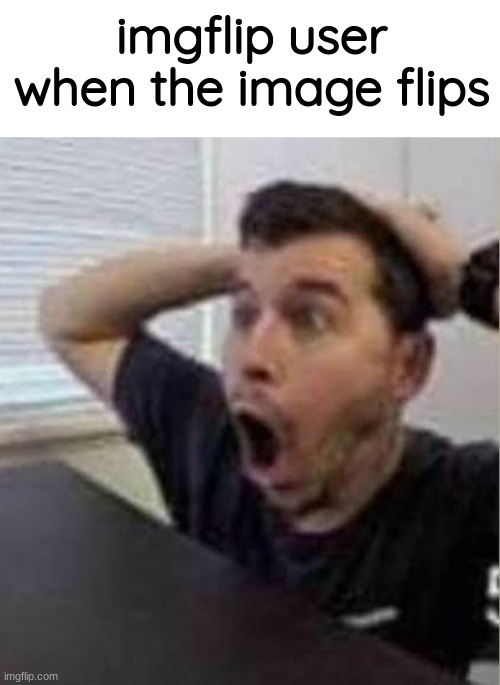 imgflip user when the image flips | made w/ Imgflip meme maker