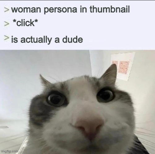 Cat looks inside | woman persona in thumbnail; *click*; is actually a dude | image tagged in cat looks inside | made w/ Imgflip meme maker