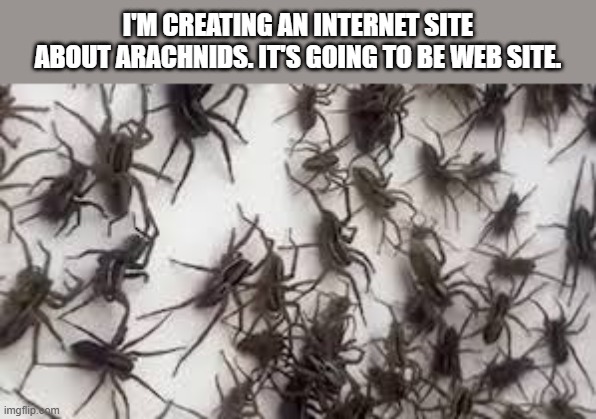 memes by Brad - I'm making a WEB site about spiders - humor | I'M CREATING AN INTERNET SITE ABOUT ARACHNIDS. IT'S GOING TO BE WEB SITE. | image tagged in funny,gaming,website,spiders,humor,play on words | made w/ Imgflip meme maker