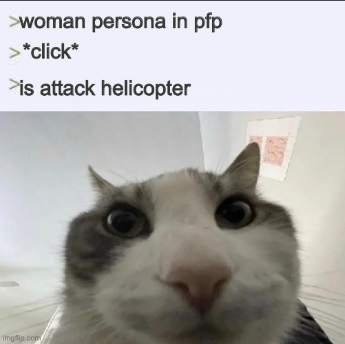 society | woman persona in pfp; *click*; is attack helicopter | image tagged in cat looks inside | made w/ Imgflip meme maker