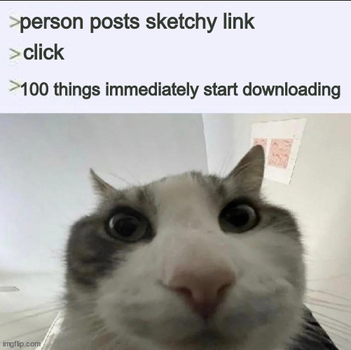 Cat looks inside | person posts sketchy link; click; 100 things immediately start downloading | image tagged in cat looks inside | made w/ Imgflip meme maker