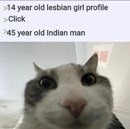 No hate on Indians tho | 14 year old lesbian girl profile; Click; 45 year old Indian man | image tagged in cat looks inside | made w/ Imgflip meme maker