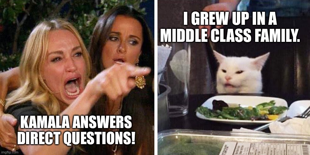 Does Kamala Harris Answer Direct Questions? | I GREW UP IN A MIDDLE CLASS FAMILY. KAMALA ANSWERS DIRECT QUESTIONS! | image tagged in smudge the cat,kamala harris,smudge meme,kamala harris answers questions | made w/ Imgflip meme maker