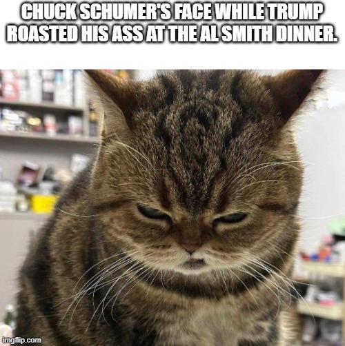 Trump wrecked the dems | CHUCK SCHUMER'S FACE WHILE TRUMP ROASTED HIS ASS AT THE AL SMITH DINNER. | image tagged in truth,funny memes,political humor,political meme,stupid liberals,donald trump approves | made w/ Imgflip meme maker