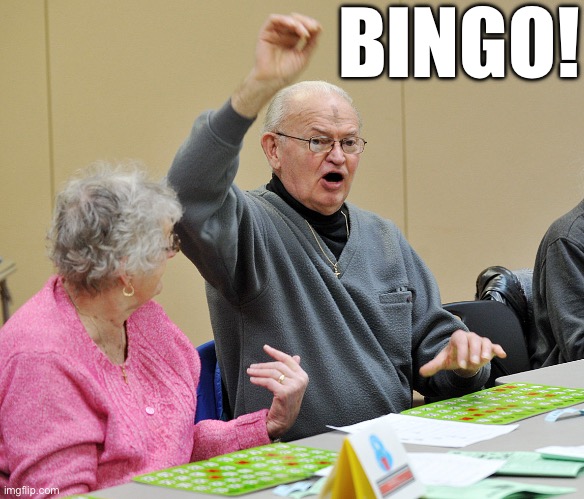 Bingo | BINGO! | image tagged in bingo | made w/ Imgflip meme maker