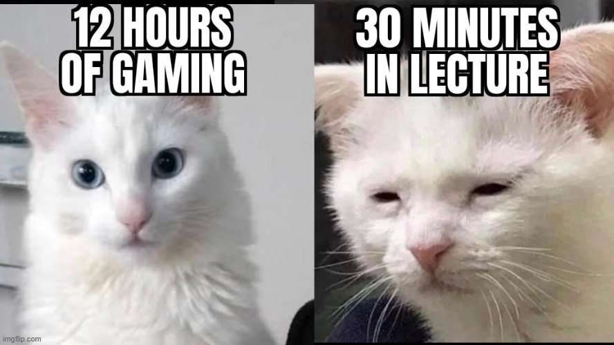 The other people must be stealing my oxygen or something | image tagged in memes,funny,cats,relatable,gaming | made w/ Imgflip meme maker