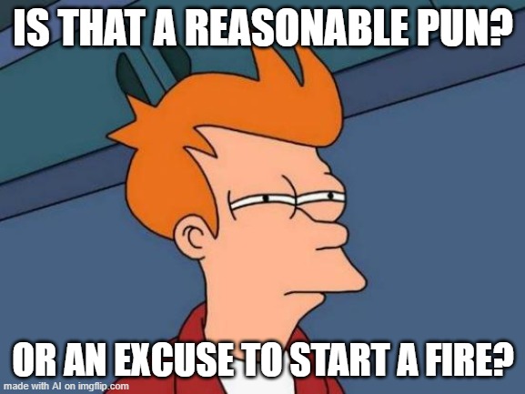 Futurama Fry | IS THAT A REASONABLE PUN? OR AN EXCUSE TO START A FIRE? | image tagged in memes,futurama fry | made w/ Imgflip meme maker