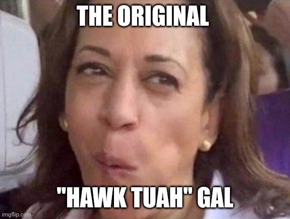 Made it all the way to the whitehouse | THE ORIGINAL; "HAWK TUAH" GAL | image tagged in kamala harris | made w/ Imgflip meme maker