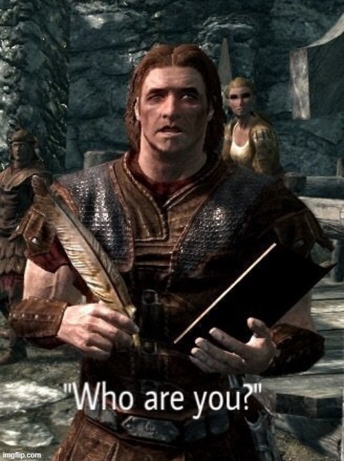 Who are you skyrim | image tagged in who are you skyrim | made w/ Imgflip meme maker