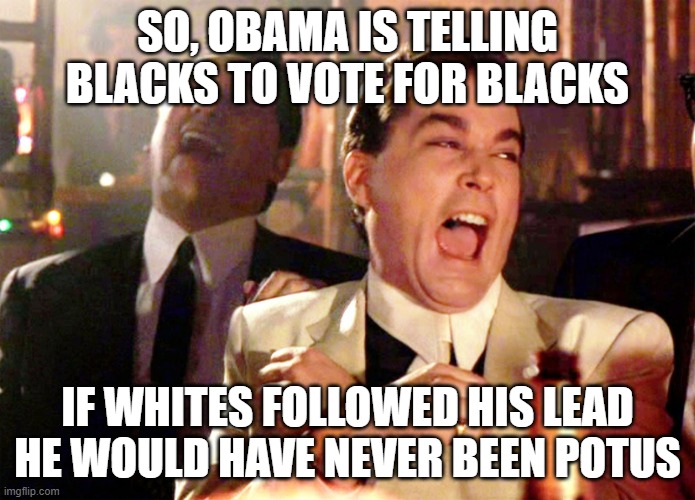 Good Fellas Hilarious Meme | SO, OBAMA IS TELLING BLACKS TO VOTE FOR BLACKS; IF WHITES FOLLOWED HIS LEAD HE WOULD HAVE NEVER BEEN POTUS | image tagged in memes,good fellas hilarious | made w/ Imgflip meme maker