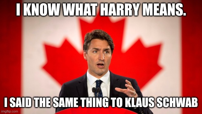 Justin Trudeau | I KNOW WHAT HARRY MEANS. I SAID THE SAME THING TO KLAUS SCHWAB | image tagged in justin trudeau | made w/ Imgflip meme maker