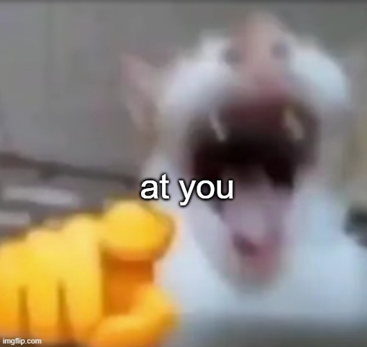 Cat pointing and laughing | at you | image tagged in cat pointing and laughing | made w/ Imgflip meme maker