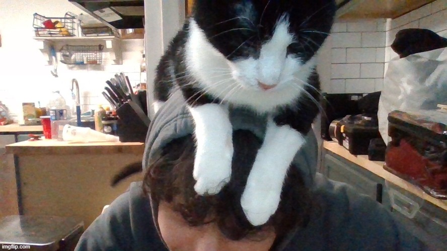 Help me theres a babi on my head | made w/ Imgflip meme maker