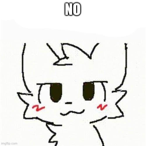boykisser | NO | image tagged in boykisser | made w/ Imgflip meme maker