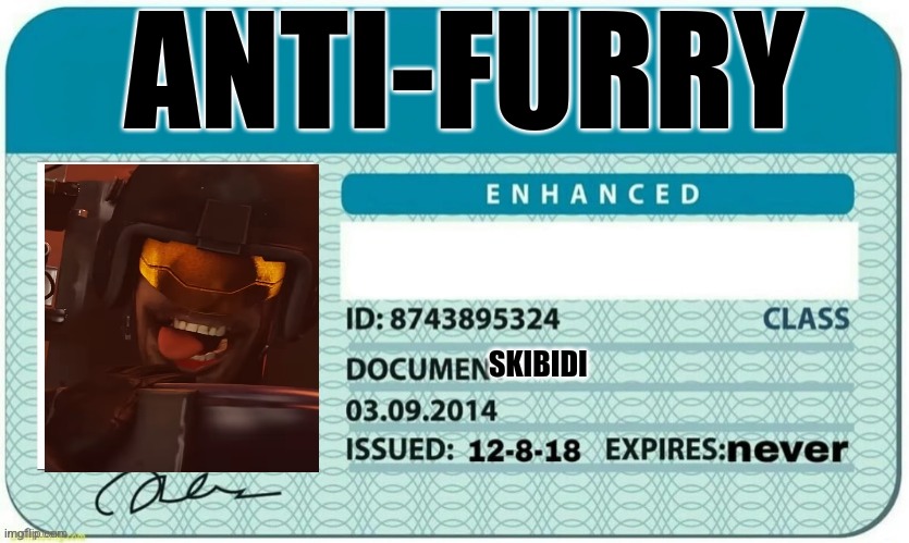 I'm joining the sigmas | ANTI-FURRY; SKIBIDI | image tagged in blank license | made w/ Imgflip meme maker