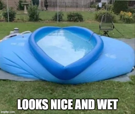 Dirty Pool | LOOKS NICE AND WET | image tagged in sex jokes | made w/ Imgflip meme maker