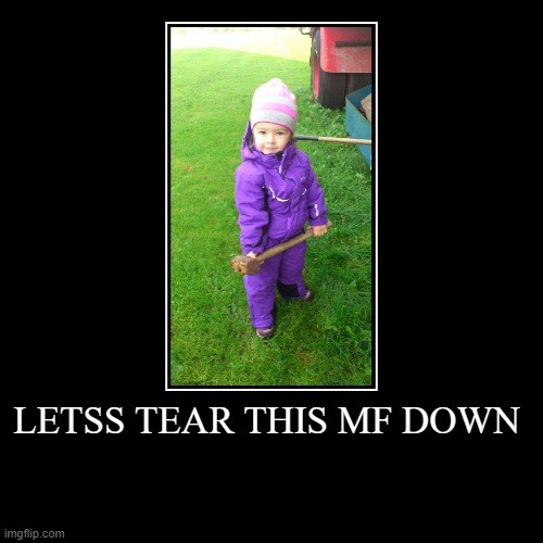 LETSS TEAR THIS MF DOWN | | image tagged in funny,demotivationals | made w/ Imgflip demotivational maker