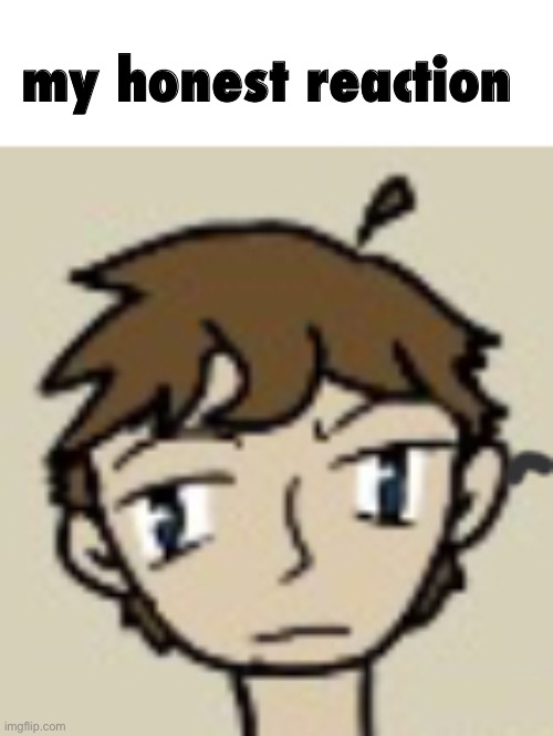 my honest reaction | made w/ Imgflip meme maker