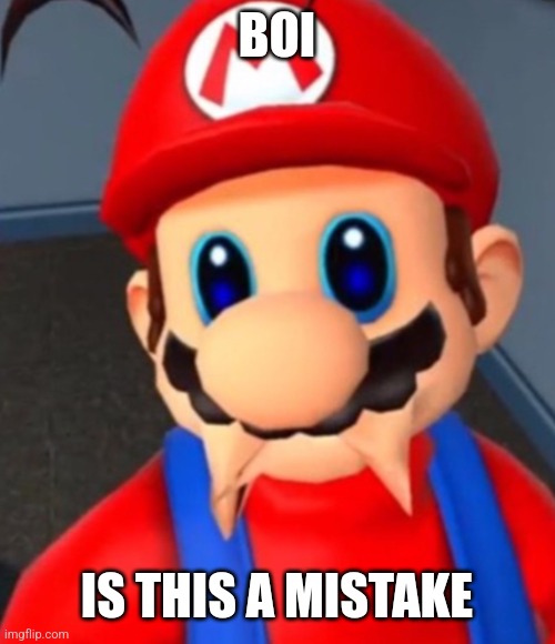 MARIO BOI | BOI IS THIS A MISTAKE | image tagged in mario boi | made w/ Imgflip meme maker