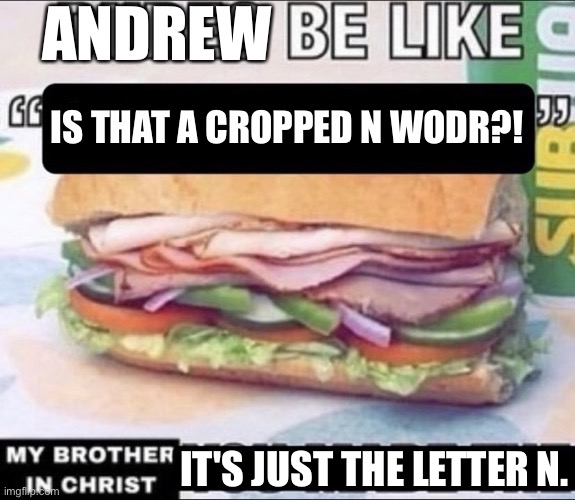 Dudes Be Like X My Brother in Christ Y | ANDREW; IS THAT A CROPPED N WODR?! IT'S JUST THE LETTER N. | image tagged in dudes be like x my brother in christ y | made w/ Imgflip meme maker