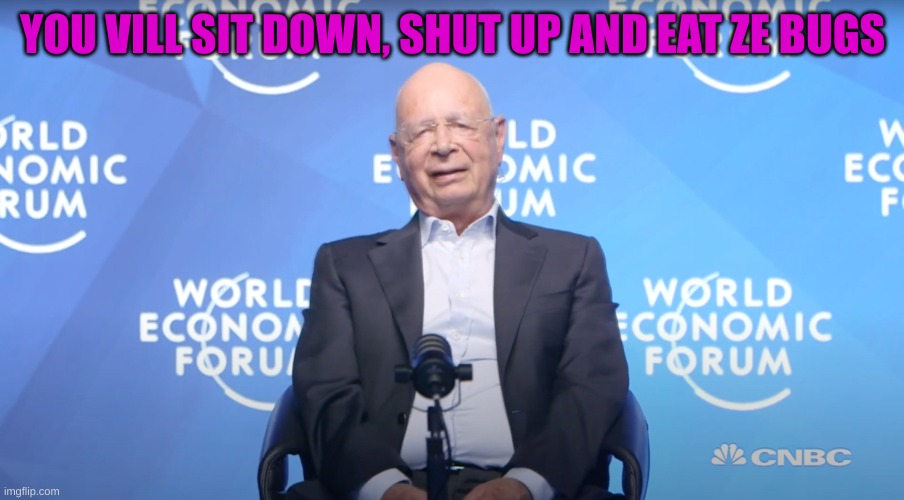 Klaus Schwab | YOU VILL SIT DOWN, SHUT UP AND EAT ZE BUGS | image tagged in klaus schwab | made w/ Imgflip meme maker