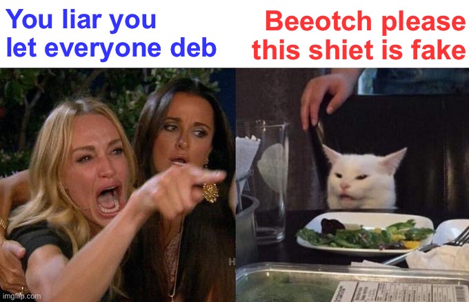 Woman Yelling At Cat | Beeotch please this shiet is fake; You liar you let everyone deb | image tagged in memes,woman yelling at cat | made w/ Imgflip meme maker