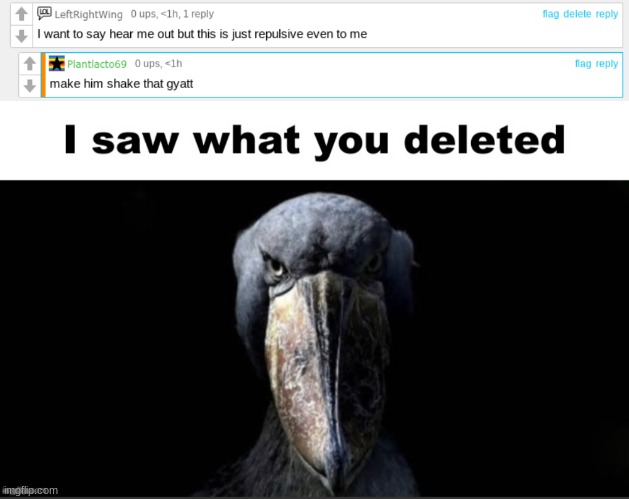 image tagged in i saw what you deleted | made w/ Imgflip meme maker